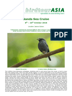 Birdtour Asia Banda Sea 2018