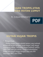 Hutan Hujan Tropis