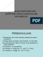 1171014305_Perubahan_anatomi_dan_fisiologis_P-2 (1).ppt