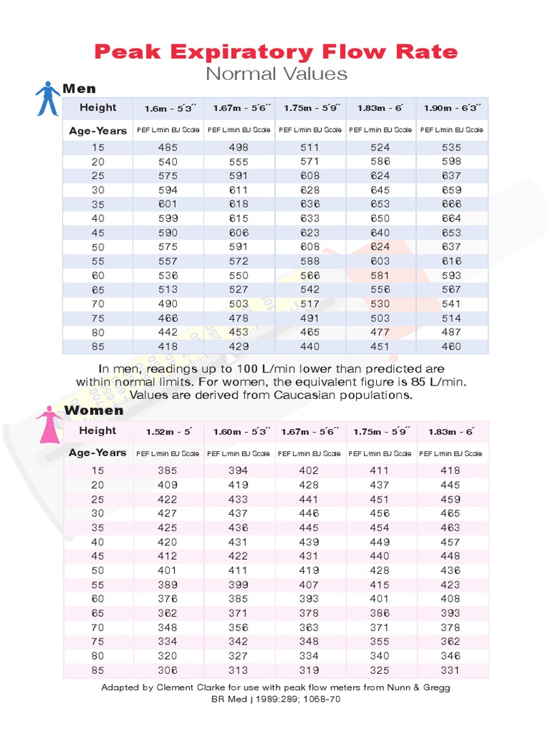 Peak Flow Rate Chart PDF  PDF  Clinical Medicine  Nature