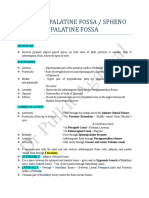 Pterygopalatine Fossa