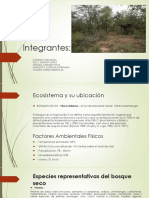 Paso 3 - Identificar Ecosistemas y Sus Componentes PDF