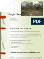 Paso 3 - Identificar Ecosistemas y Sus Componentes