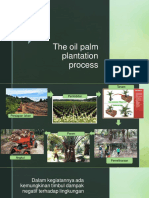 The Oil Palm Plantation Process PDF