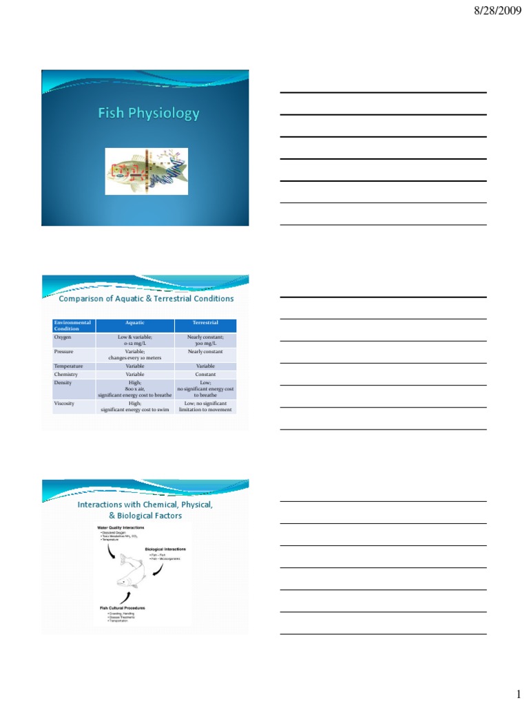 Fish Physiology | Adrenal Gland | Endocrine System