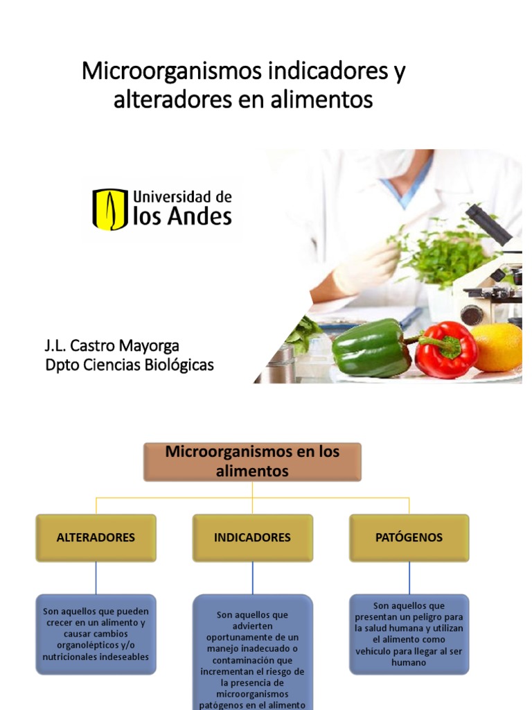 Microorganismos Indicadores en Alimentos | PDF | Microbiología | Alimentos