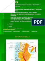 Curs6-Apexogeneza Si Apexificare PDF