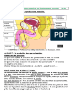 s4 Fiche2 App Masculin Correction Bilan