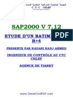 Formatio Sap2000-Complet PDF