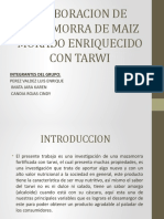 Exposicion - Tarwi Completo