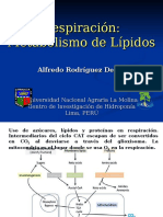 Respiracion Lipidos