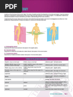 Anatomy1 PDF