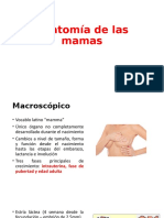 Anatomía de las mamas.pptx