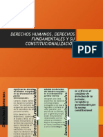 Derechos Fundamentales: Concepto, Clasificación y Constitucionalización