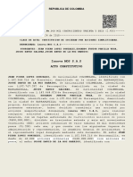 Acta de Constitucion PDF