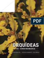 orquídeas de cundinamarca