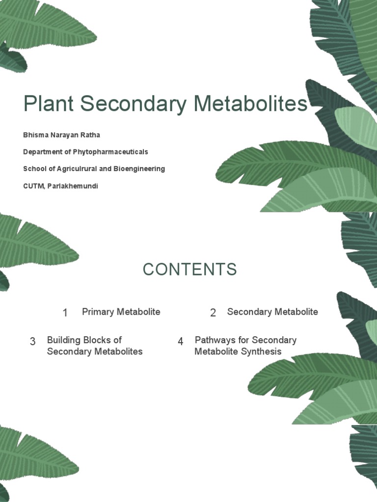 Understanding Plant Secondary Metabolism | PDF | Metabolic Pathway ...