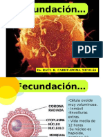 Fecundacion