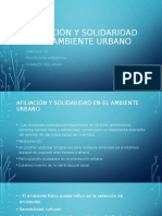 Afiliación y Solidaridad en El Ambiente Urbano