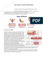 Muscular System: Structure and Function: 1. Types of Muscles