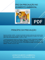 PRINCÍPIO DA PRECAUÇÃO NO LICENCIAMENTO AMBIENTAL - MINHA PARTE.pdf