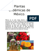 Plantas de Mexico