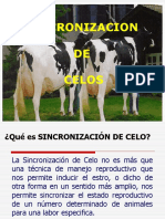 Sincronizacion y Poliovulacion