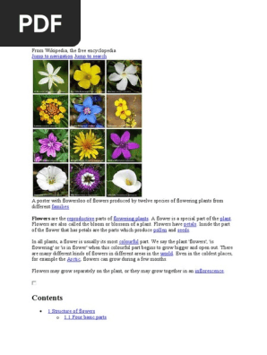 Flower