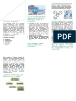 Folleto Tematico, Informativo y Explicativo SSGC