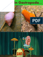 Torsion in Gastropoda PDF