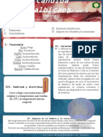 Candida Albicans PDF