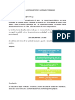 Arteria Carótida Externa y Sus Ramas Terminales