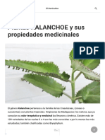 Plantas KALANCHOE y sus propiedades medicinales » El Horticultor182548