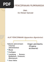 Laprak Bio Acara 4 Najwan GNTG BGT Coyy | PDF