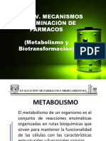 Metabolismo