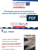 5 CPA Marcozzi Principales Causas Ahuellamiento PDF