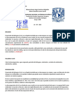 306470245-Calor-de-descomposicion-del-H2O2-1-docx.docx