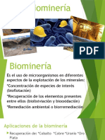 Biominería.pptx