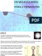 Virus Plasmidos y Conjugacion PDF