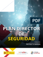 Metad - Plan Director Seguridad