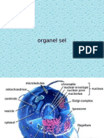Organel Sel
