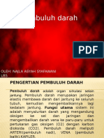 Pembuluh darah dan fungsinya