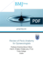Review_of_Pelvic_Anatomy_BMJ.ppt