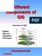 Components of GIS