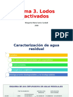 Tema 3. Lodos Activados