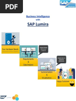 SAP Lumira Methodology Documentation