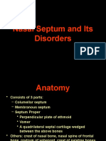 Anatomy and Disorders of the Nasal Septum