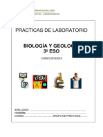 Células del epitelio bucal al microscopio