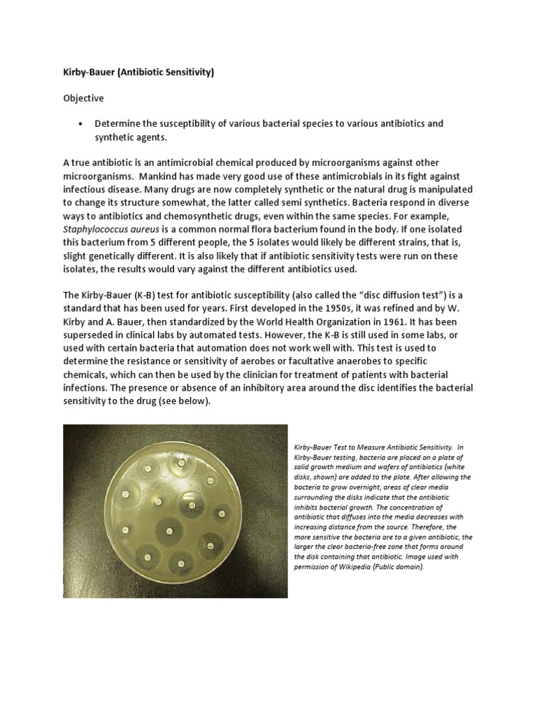 Manual Pages For Kirby Bauer Assay (Test) | PDF | Clinical Pathology ...