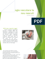 Patologia vasculara n.n